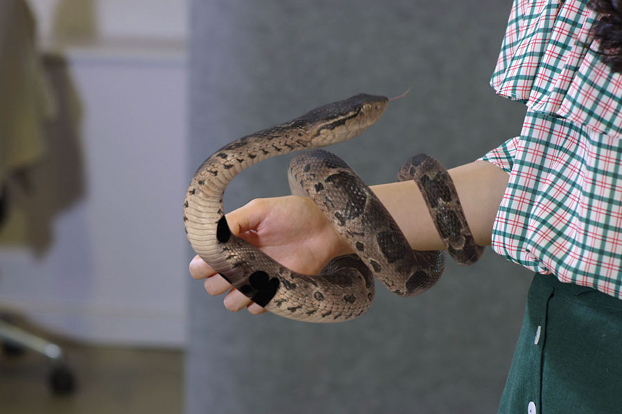 Till We Meet Again 千年来说对不起